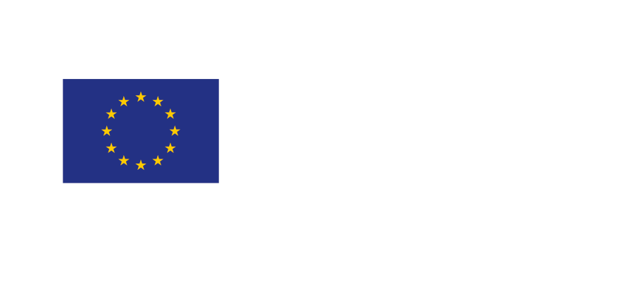 Co-funded by the EU logo