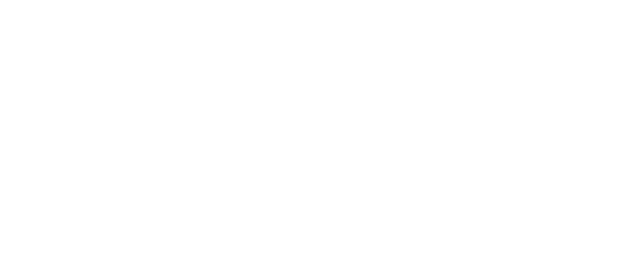 NATO DIANA logo